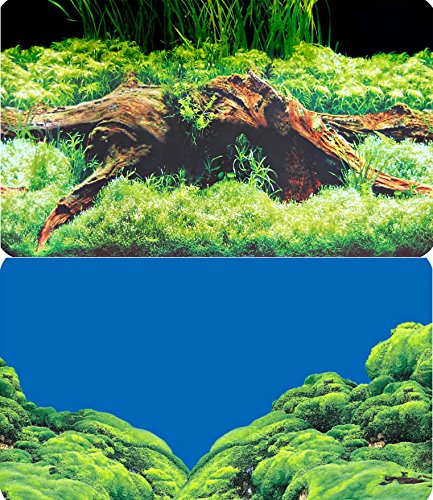 Hobby 31011 Fotorückwand Zuschnitt Spring/Moss, SB Hobby 31011 Fotorückwand Zuschnitt Spring/Moss, SB von Hobby