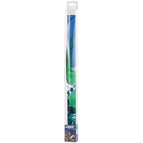 Hobby 31012 Fotorückwand Zuschnitt Spring / Moss Hobby 31012 Fotorückwand Zuschnitt Spring / Moss von Hobby