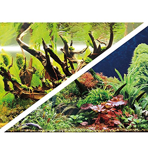 Hobby 31061 Green Secret / Wood Island, 100 x 50 cm von Hobby