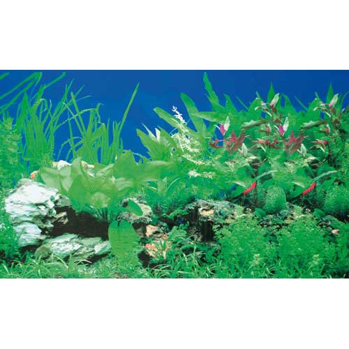 Hobby 31125 Fotorückwand-Zuschnitt Pflanzen 1 / 5 Hobby 31125 Fotorückwand-Zuschnitt Pflanzen 1 / 5 von Hobby