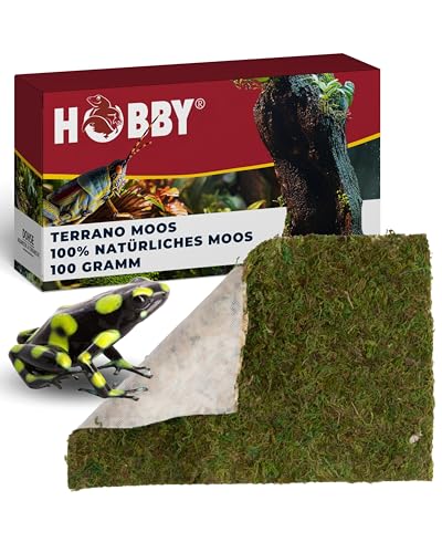Hobby Terraristik Terrano Moos I 100g I Moos für Terrarien I 100% natürlich und ohne künstliche Farbstoffe I Moos zur Erhöhung der Luftfeuchtigkeit I Terrarienmoos für Reptilien und Amphibien von Hobby