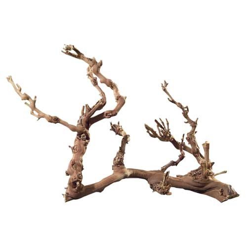Hobby Terraristik Weinreben Wurzel Jumbo I ca. 50-70 cm I Sandgestrahlt von Hobby