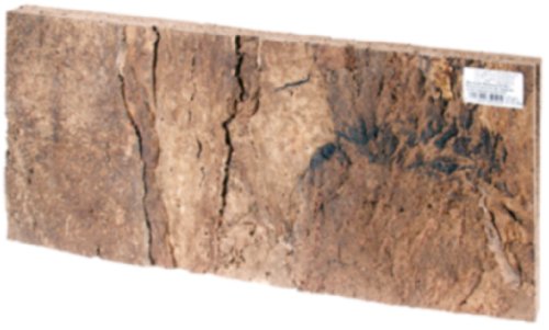 HOBBY Terraristik Kork Rückwand Laos I 60 x 30 x 1,5 cm I 2 Stück I Gewalztes Naturkork I Nur innerhalb von Trockenterrarien einzusetzen von Hobby