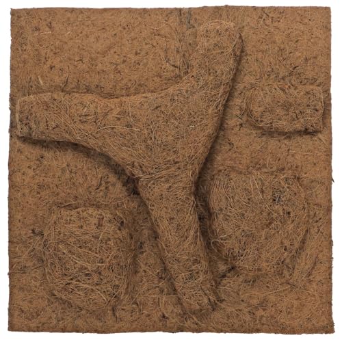 HOBBY Terraristik Kokos Modul I 50 x 50 cm I Naturprodukt aus Kokosfasern I Idealer Klettergrund I Geschützt vor schneller Verrottung von Hobby