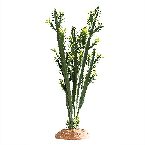 Hobby 37000 Euphorbia, L Hobby 37000 Euphorbia, L von Hobby