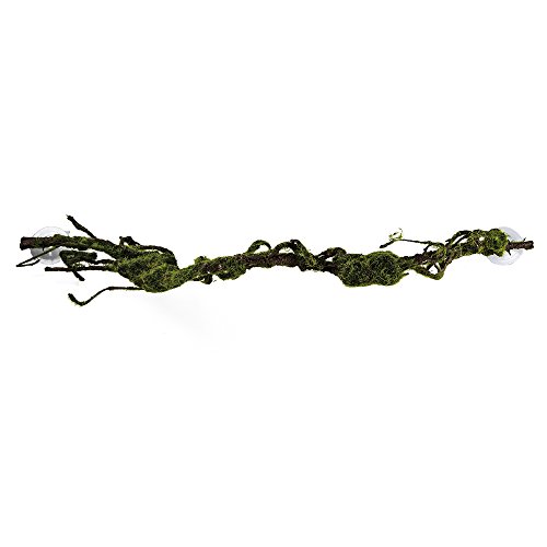 HOBBY Terraristik Liana M I 80 x 6 cm I Natürliches Aussehen I Besonders flexibel I Fühlen Sich echt an I Für baumbewohnende Reptilien und Amphibien von Hobby