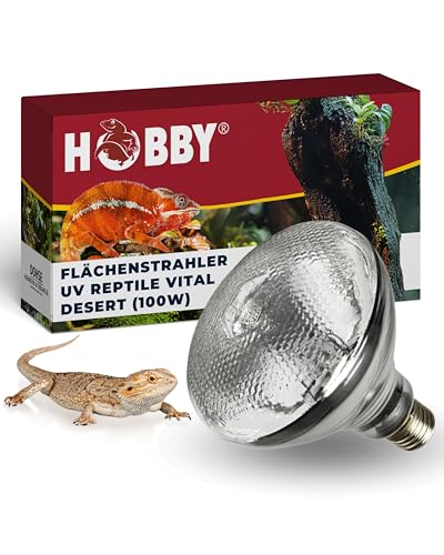 Hobby 37316 UV-Reptile vital Desert, 100 W, Silber von Hobby