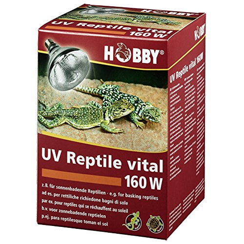 Hobby 37318 UV-Reptile vital Power, 160 W von Hobby