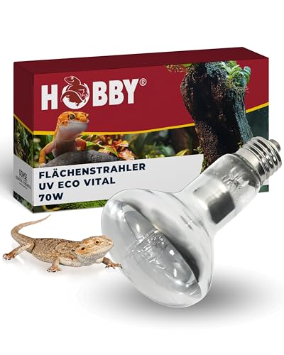 HOBBY Terraristik UV Eco vital I UV-Lampe für Terrarien I 70 W I UV- Lampe für die Reptilienhaltung I kosteneffiziente Mischlichtlampe für Reptilien I energieeffizient & langlebig von Hobby