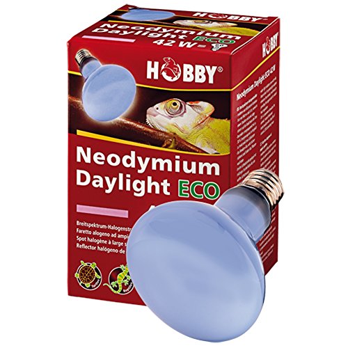 Hobby 37552 Neodym Daylight Eco, 42 W von Hobby