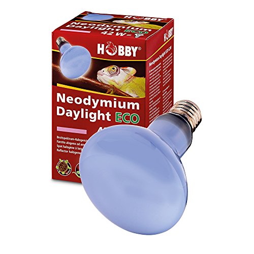 Hobby 37554 Neodym Daylight Eco, 70 W von Hobby