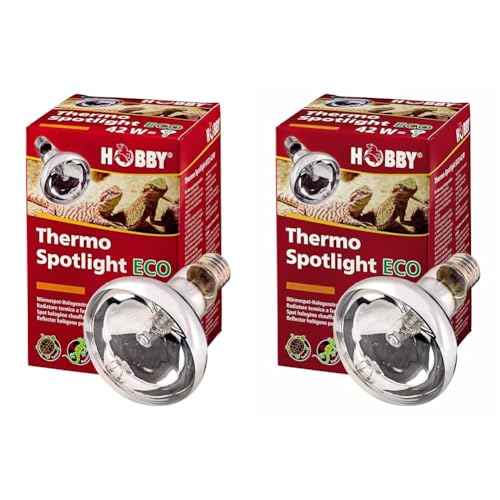 Hobby 37562 Thermo Spotlight Eco, 42 W (Packung mit 2) von Hobby
