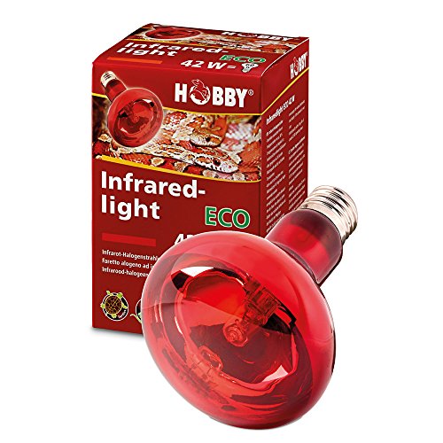 Hobby 37582 Infraredlight Eco, 42 W von Hobby