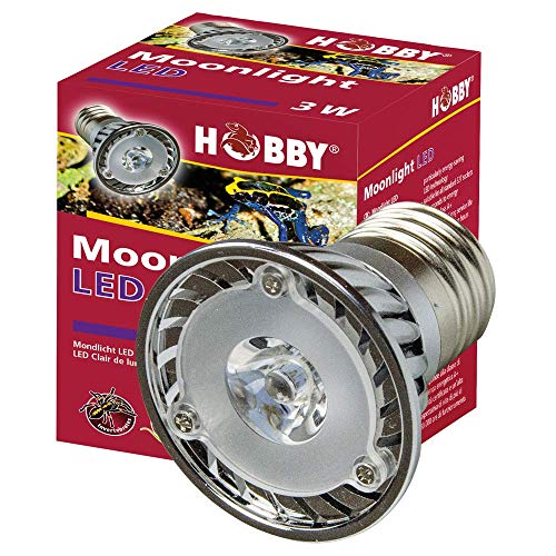 Hobby 37595 Moonlight LED 3 W, 1 Stück (1er Pack) von Hobby