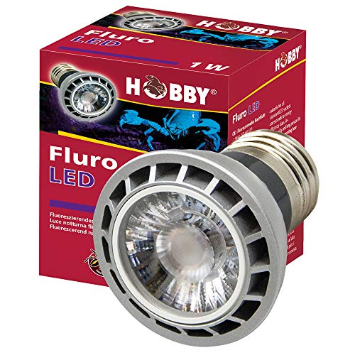 Hobby Terraristik Fluro LED 1 W I Lässt etliche Skorpione sowie einige Insekten, Spinnen und Chamäleons aufleuchten I Standard E27 Fassung I Kein Vorschaltgerät erforderlich von Hobby