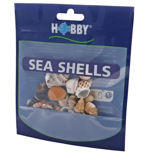 Hobby 40221 Sea Shells Set, S von Hobby