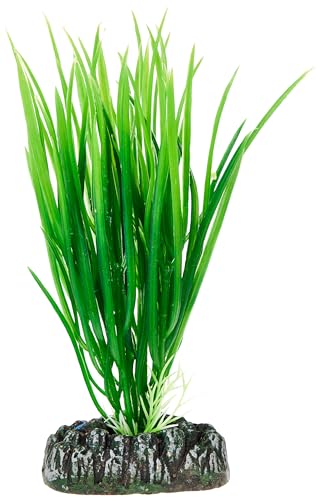 Hobby 41500 Cyperus, 16 cm von Hobby