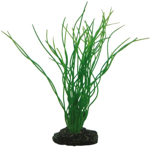 Hobby Aquaristik Sagittaria I 20 cm I Naturgetreue künstliche Aquarienpflanze I Keine Beeinflussung der Wasserqualität I Pflegeleicht Hobby Aquaristik Sagittaria I 20 cm I Naturgetreue künstliche Aquarienpflanze I Keine Beeinflussung der Wasserqualität I Pflegeleicht von Hobby