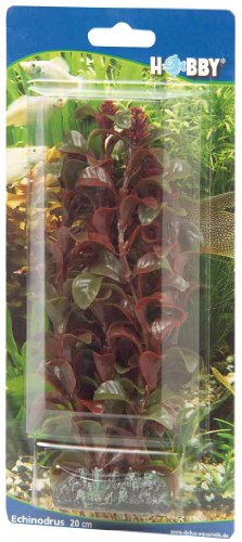 Hobby 41514 Rotala, 16 cm von Hobby