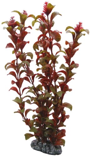 Hobby 41518 Rotala, 30 cm Hobby 41518 Rotala, 30 cm von Hobby