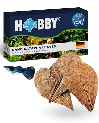 HOBBY Aquaristik Nano Catappa Leaves I 12 Stück I Nano-Seemandelbaumblätter für Aquarien I fördert Vitalität und Wohlbefinden von Fischen und Garnelen I natürlicher Wasserzusatz für Süßwasseraquarien HOBBY Aquaristik Nano Catappa Leaves I 12 Stück I Nano-Seemandelbaumblätter für Aquarien I fördert Vitalität und Wohlbefinden von Fischen und Garnelen I natürlicher Wasserzusatz für Süßwasseraquarien von Hobby
