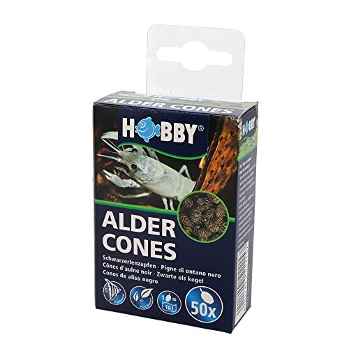 Hobby 51115 Alder Cones, 50 Stück (1er Pack) von Hobby