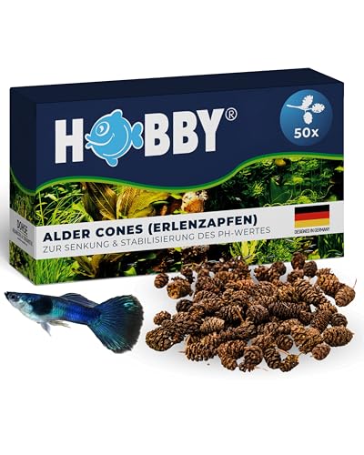 HOBBY Aquaristik Alder Cones I 50 Stück I Schwarzerlenzapfen für Aquarien I Erlenzapfen zur Senkung und Stabilisierung des pH-Wertes I Schutz vor Bakterien und Pilzen I ideal für Süßwasseraquarien von Hobby