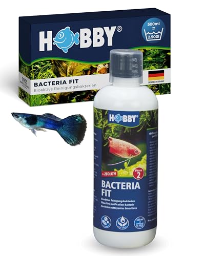 HOBBY Aquaristik Bacteria Fit I 500 ml I bioaktive Reinigungsbakterien für Aquarien I Wasseraufbereiter zum biologischen Abbau von Futterresten, Ammonium und Nitrit I natürliche Wasserreinigung HOBBY Aquaristik Bacteria Fit I 500 ml I bioaktive Reinigungsbakterien für Aquarien I Wasseraufbereiter zum biologischen Abbau von Futterresten, Ammonium und Nitrit I natürliche Wasserreinigung von Hobby
