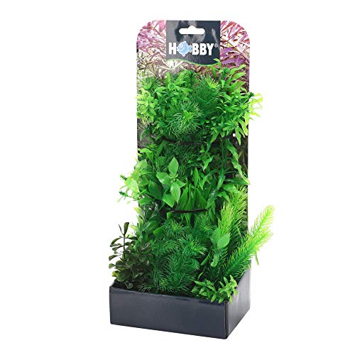 Hobby 51484 Kunstpflanzenset Plantasy Set 5 von Hobby