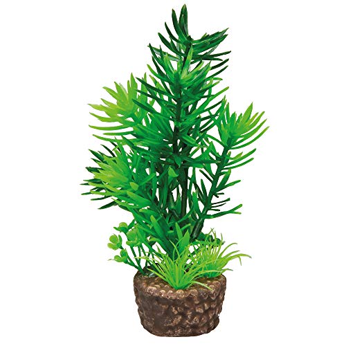 Hobby Aquaristik I Kunstpflanze Flora Stone 1 I Täuschend echt aussehend I 4 x 13 cm Hobby Aquaristik I Kunstpflanze Flora Stone 1 I Täuschend echt aussehend I 4 x 13 cm von Hobby
