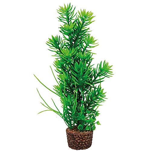 Hobby Aquaristik Kunstpflanze Flora Stone 5 I Täuschend echt aussehend I 4 x 25 cm von Hobby