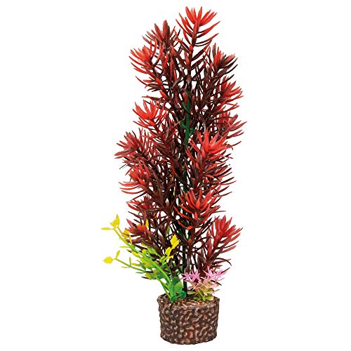 Hobby Aquaristik Kunstpflanze Flora Stone 8 I Täuschend echt aussehend I 4 x 25 cm Hobby Aquaristik Kunstpflanze Flora Stone 8 I Täuschend echt aussehend I 4 x 25 cm von Hobby