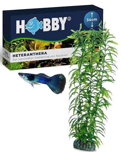 HOBBY Aquaristik Heteranthera I 34 cm I Naturgetreue Nachbildung I Versteckmöglichkeiten und Orientierungspunkte für die Revierbildung I Keine Beeinflussung der Wasserqualität HOBBY Aquaristik Heteranthera I 34 cm I Naturgetreue Nachbildung I Versteckmöglichkeiten und Orientierungspunkte für die Revierbildung I Keine Beeinflussung der Wasserqualität von Hobby
