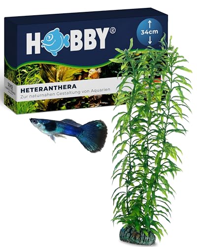 Hobby 51567 Heteranthera, 34 cm von Hobby