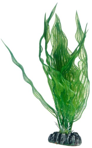 Hobby 51578 Aponogeton, 25 cm Hobby 51578 Aponogeton, 25 cm von Hobby