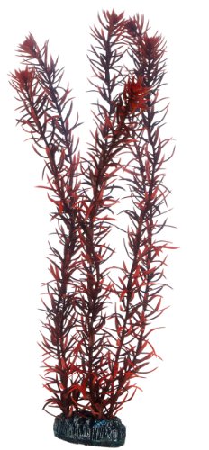 Hobby 51583 Eusteralis, 39 cm Hobby 51583 Eusteralis, 39 cm von Hobby