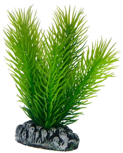 Hobby 51584 Mayaca, 7 cm Hobby 51584 Mayaca, 7 cm von Hobby