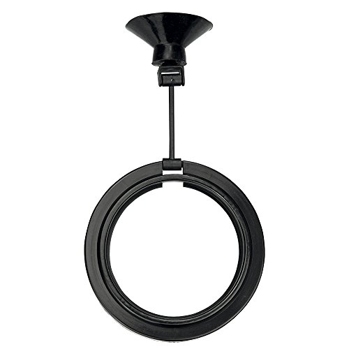 Hobby 61303 Feeding Station 1 rund, , Durchmesser 7.5 cm, SB, schwarz Hobby 61303 Feeding Station 1 rund, , Durchmesser 7.5 cm, SB, schwarz von Hobby