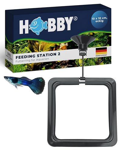 Hobby 61304 Feeding Station 2, eckig, 10 x 10 cm, schwarz von Hobby