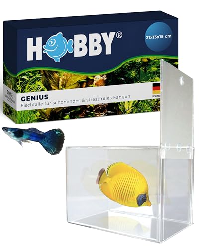 Hobby 61340 Genius, Fischfalle, 21 x 13 x 15 cm Hobby 61340 Genius, Fischfalle, 21 x 13 x 15 cm von Hobby