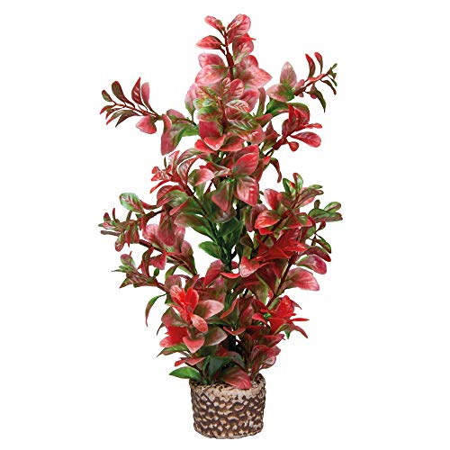 Hobby Aquaristik Kunstpflanze Flora Stone 7 I Täuschend echt aussehend I 4 x 25 cm Hobby Aquaristik Kunstpflanze Flora Stone 7 I Täuschend echt aussehend I 4 x 25 cm von Hobby