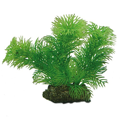 Hobby Egeria, 13 cm Hobby Egeria, 13 cm von Hobby