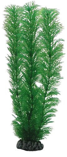 Hobby Egeria, 20 cm von Hobby
