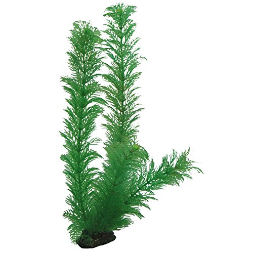 Hobby Egeria, 34 cm Hobby Egeria, 34 cm von Hobby