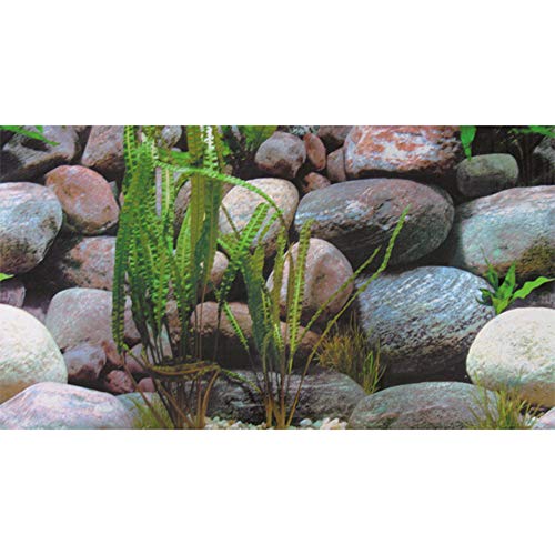 Hobby Fotorückwand - Steine 1 / Steine 2-150 x 60 cm - Rückwandfolie für Aquarien - Meerwasseraquarien und Süßwasseraquarien Hobby Fotorückwand - Steine 1 / Steine 2-150 x 60 cm - Rückwandfolie für Aquarien - Meerwasseraquarien und Süßwasseraquarien von Hobby