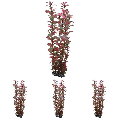 Hobby Ludwigia, 34 cm (Packung mit 4) von Hobby