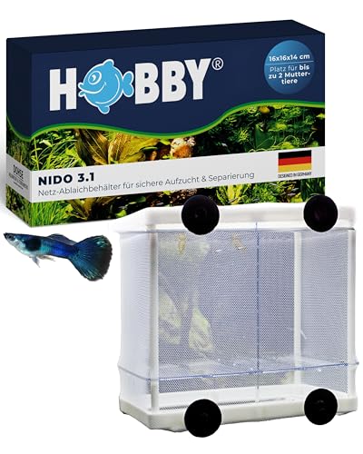 HOBBY Aquaristik Nido 3.1 I 16 x 16 x 14 cm I Netz-Ablaichbehälter zum Separieren von trächtigen Fischen und zur Aufzucht von Jungfischen I Fisch Ablaichkasten für Aquarien I Aquarium Zubehör von Hobby