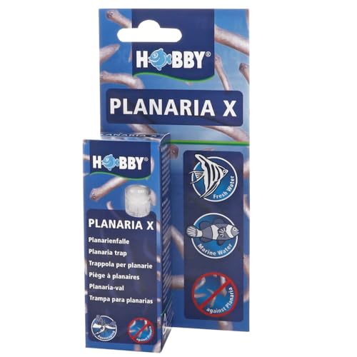 Hobby Planaria X von Hobby