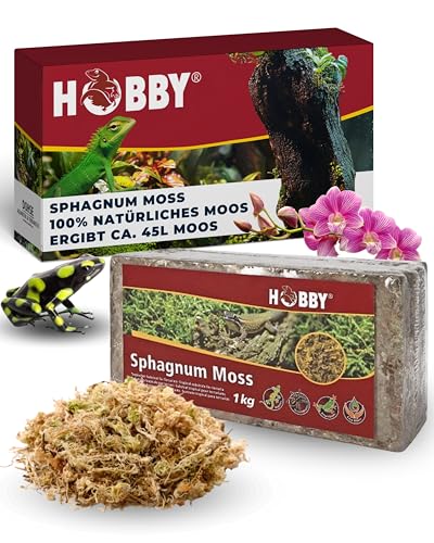 Hobby Terraristik Sphagnum Moss I 1 kg I tropisches Substrat für Terrarien und Orchideen I Moos für Terrarien I 100% natürlich und ohne chemische Zusätze I Moos zur Erhöhung der Luftfeuchtigkeit von Hobby