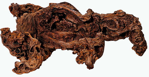 Savannenholz-Wurzel Größe Nano, bis 10 cm von Hobby